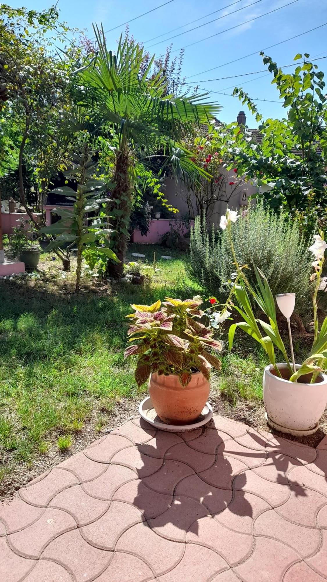 Venus Appartement Dessenheim Buitenkant foto